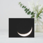 チェシャ月… ポストカード (スタンド正面)