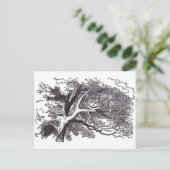 チェシャ猫 ポストカード (スタンド正面)