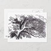 チェシャ猫 ポストカード (正面/裏面)