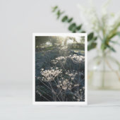 チェシャ霜の降りたハガキの朝 ポストカード (スタンド正面)