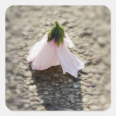 チェスのポーンの花 スクエアシール (正面)