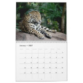 チェスターの動物園のカレンダーの大きな猫 カレンダー (1月 2027)