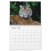 チェスターの動物園のカレンダーの大きな猫 カレンダー (2月 2027)