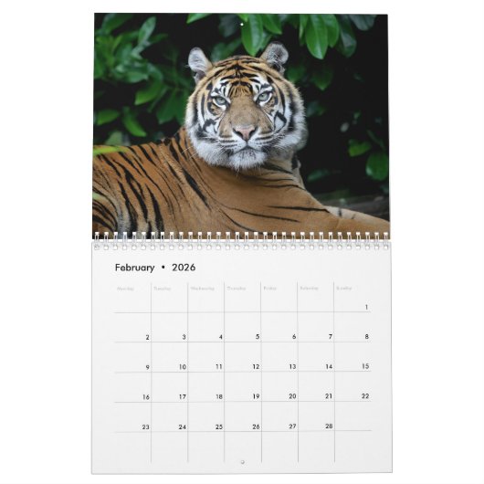 チェスターの動物園のカレンダーの大きな猫 カレンダー (2月 2026)