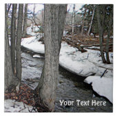 チェスタークリーク タイル (正面)