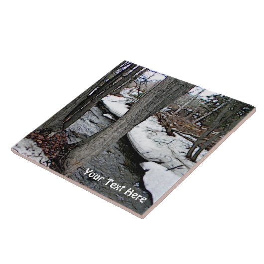 チェスタークリーク タイル (側面)