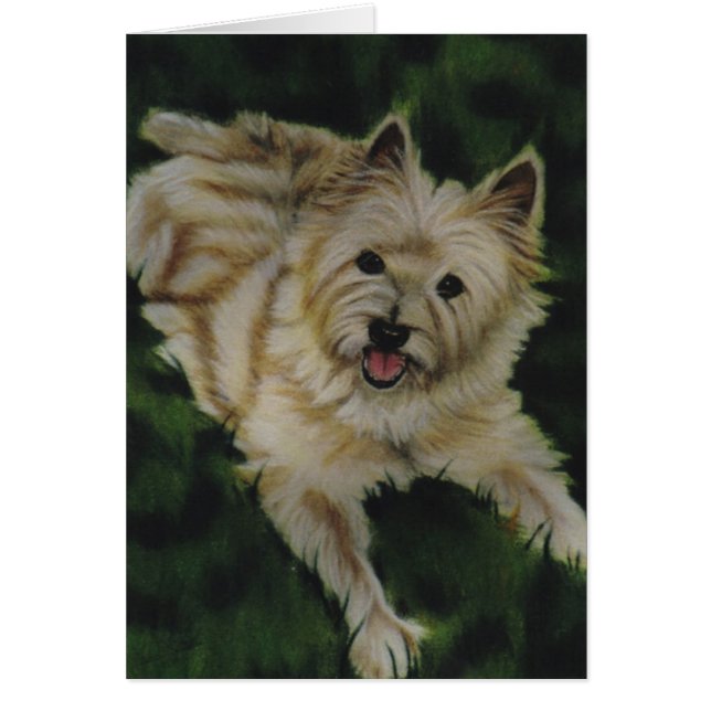 "チェスター" (正面)