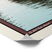 チェステロのサンフレディアーノ ポスター (角)