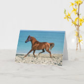 チェストナット・アラブ・スタランニングリオン・ビーチ カード (黄色い花)