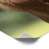 チェスナットシェットランドポニースタリオンヘッドショット ポスター (角)