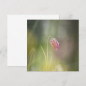 チェスフラワー自然フォトカード (正面/裏面)