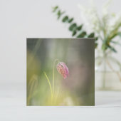 チェスフラワー自然フォトカード (スタンド正面)