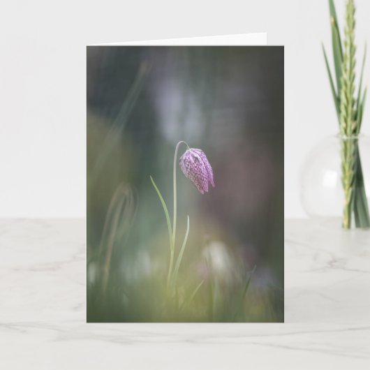 チェスフラワー自然写真 カード (正面)