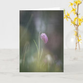 チェスフラワー自然写真 カード (黄色い花)