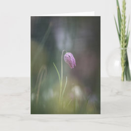 チェスフラワー自然写真 カード