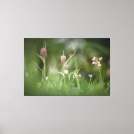チェスフラワー自然写真 キャンバスプリント