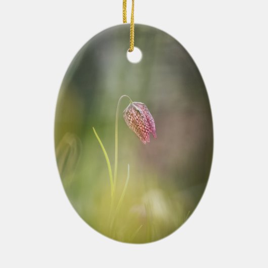 チェスフラワー自然写真 セラミックオーナメント (裏面)