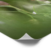 チェスフラワー自然写真 ポスター (角)