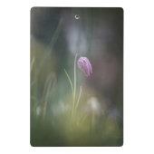 チェスフラワー自然写真 ミニクリップボード (裏面)