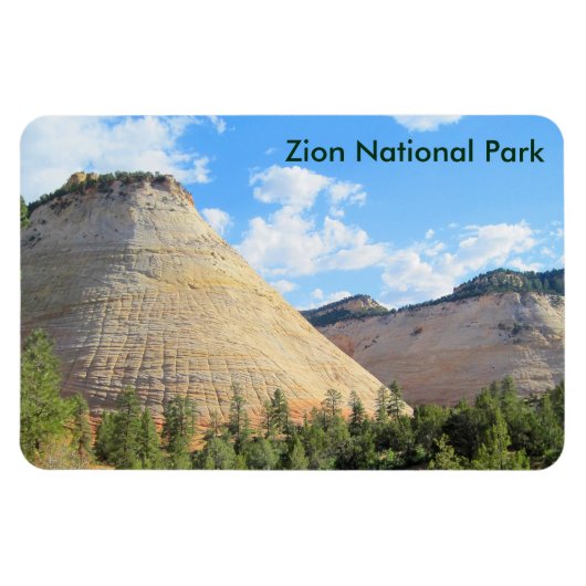 チェッカーボードメサ マグネット (横)