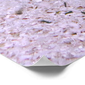 チェッカーボードラッセ ポスター (角)