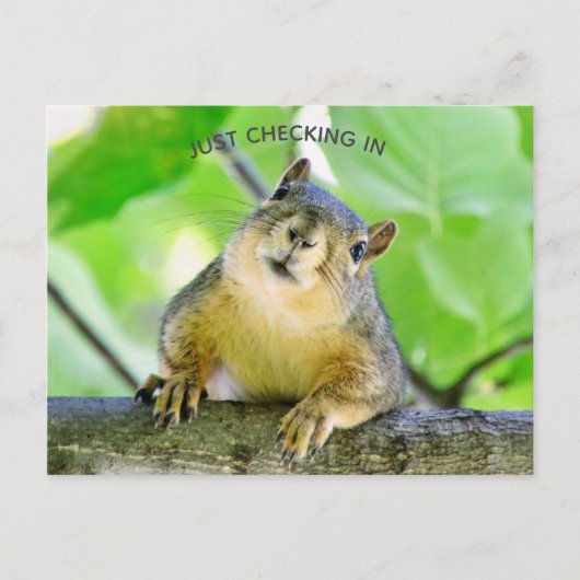 チェックイン中 ポストカード (正面)