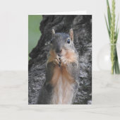 チェックイン中 | Squirrel写真 カード (正面)