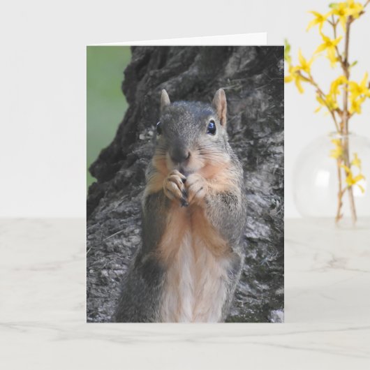 チェックイン中 | Squirrel写真 カード (黄色い花)