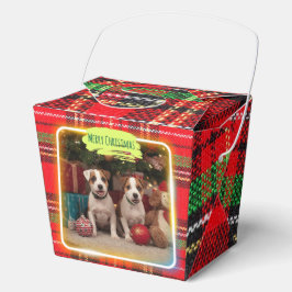 チェック柄がかわいいジャックラッセルテリアの子犬たちとクリスマス♡  フェイバーボックス