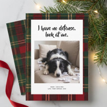 チェック柄のユーモラスでかわいい犬の写真 クリスマス ホリデーカード