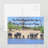チェボエレファンツのクリスマス ポストカード (正面/裏面)