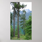 チェラン湖 ポスター (正面)