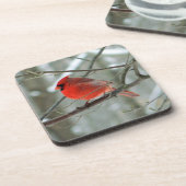 チェリーウィンター（鳥）ショウジョウコウカンチョウコルクコースター コースター (左側)