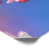 チェリーブロッサム ポスター (角)