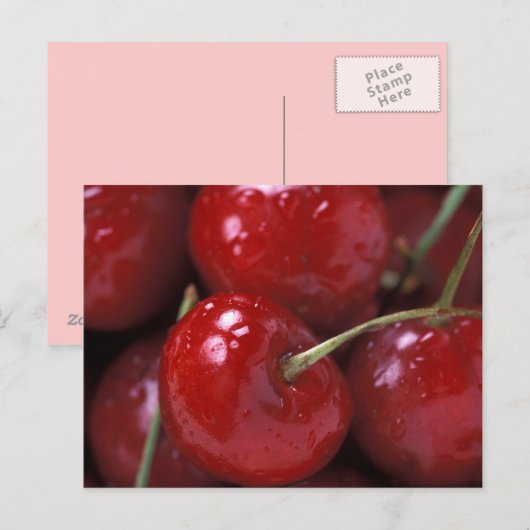 チェリー ポストカード (正面/裏面)
