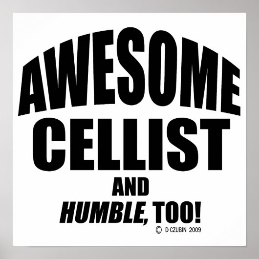 チェリ素晴らしスト ポスター (正面)