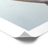 チェロキーの学者、セコイヤ（1776年～1843年）（色） ポスター (角)