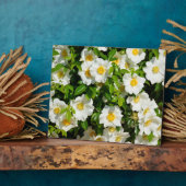 チェロキーバラ公式州フラワーグルジア，アメリカ フォトプラーク (側面)