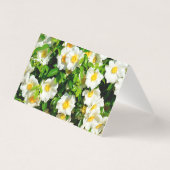 チェロキーバラ花折りカード (裏面)