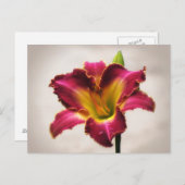 チェロキー伝統デイリー ポストカード (正面/裏面)