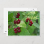 チェロキー族の祈り ポストカード (正面/裏面)