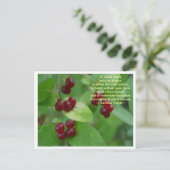 チェロキー祈りの言葉 ポストカード (スタンド正面)