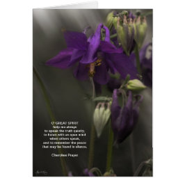 チェロキー祈りの言葉、日光のオダマキ（植物）