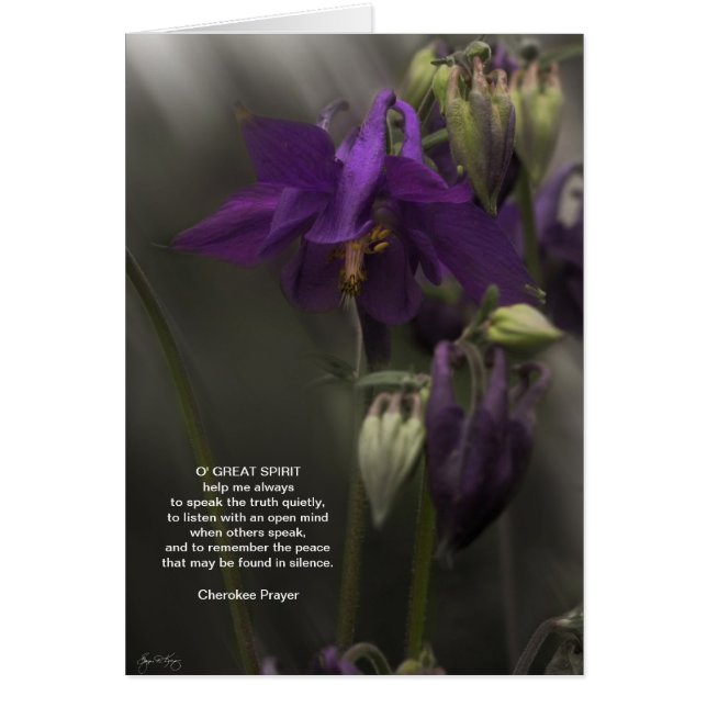 チェロキー祈りの言葉、日光のオダマキ（植物） (正面)