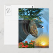 チェロキーChrysalis ポストカード (正面/裏面)