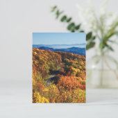 チェロハラスカイウェイ ポストカード (スタンド正面)