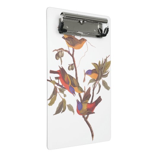 チェロ絵を描ーキーの梅の鳥の束ね ミニクリップボード (アングル)