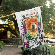 チェンジレッドの種