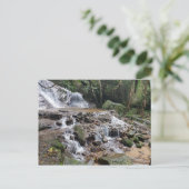 チェンマイタイランドウォーターフォールズ ポストカード (スタンド正面)