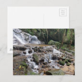 チェンマイタイランドウォーターフォールズ ポストカード (正面/裏面)